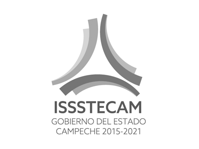 Issstecam